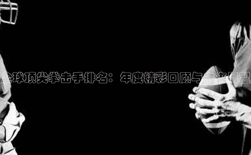 全球顶尖拳击手排名：年度精彩回顾与未来展望